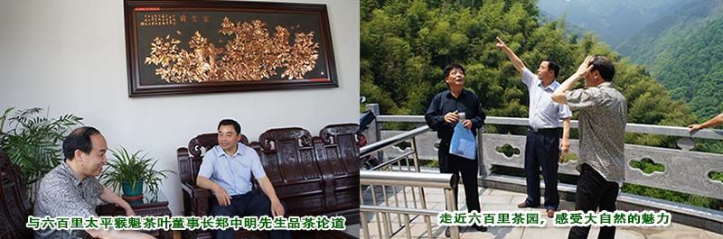 大師詠詩盛贊六百里太平猴魁.jpg 大師詠詩盛贊六百里太平猴魁.jpg