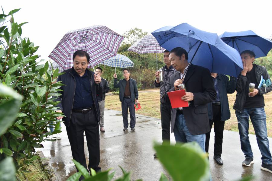 1602921345945018.jpg WPS圖片-修改尺寸.jpg