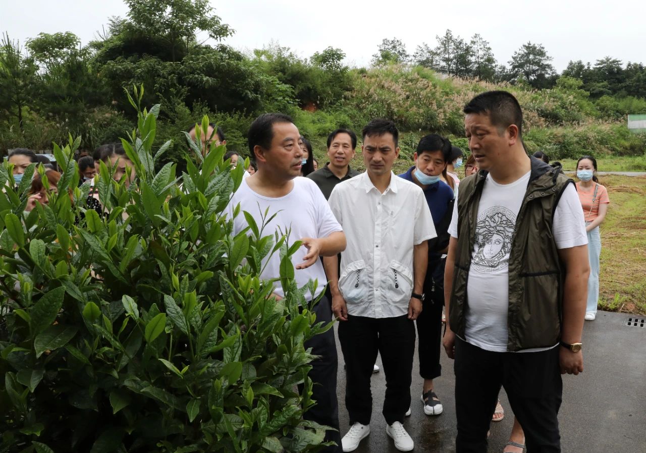 1594039250547797.jpg 微信圖片_20200706203208.jpg