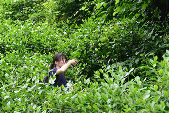 1592205135167420.jpg DSC_7361.jpg