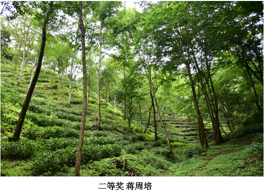 1499739251947901.png 8.png