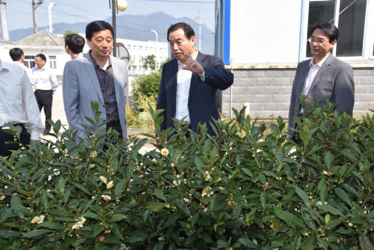 王亞林調(diào)研六百里猴魁茶業(yè).jpg 王亞林調(diào)研六百里猴魁茶業(yè).jpg