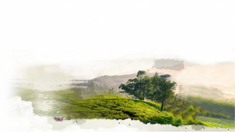 1604303449878464.png image.png