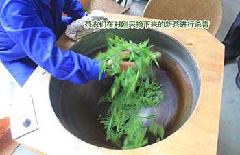 1471492756497361.jpg 徽主流媒體走進(jìn)2.jpg