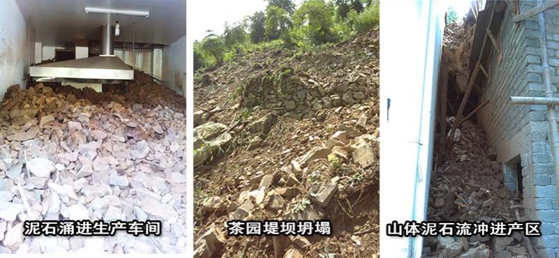 1471250164848156.jpg 六百里茶葉基地了解洪災(zāi)情況2.jpg