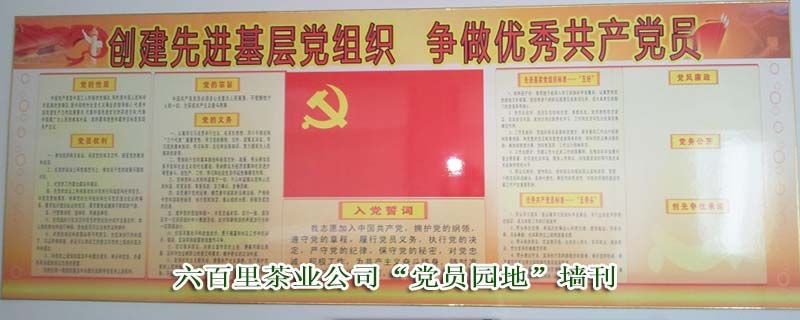 1471249833673447.jpg 黨支部工作2.jpg